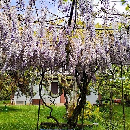 Casetta In Collina Sezze Ngoại thất bức ảnh