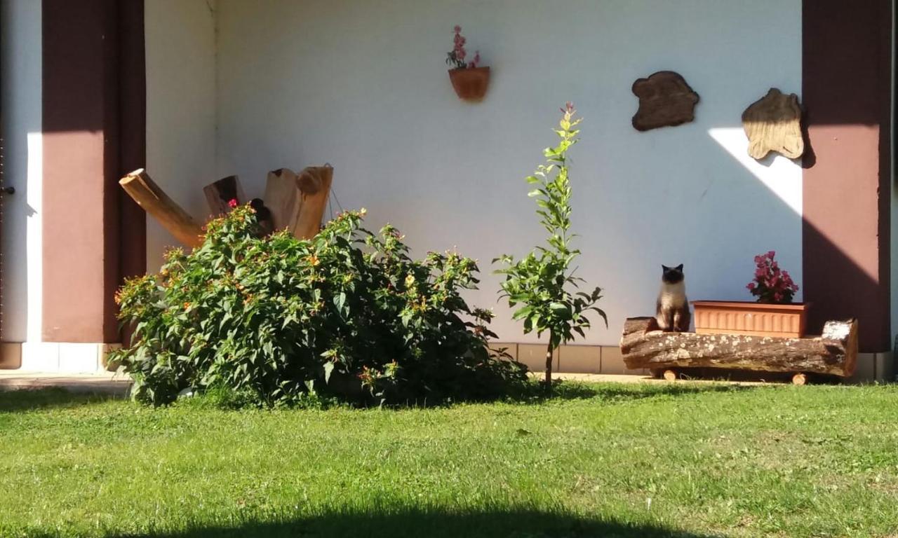 Casetta In Collina Sezze Ngoại thất bức ảnh