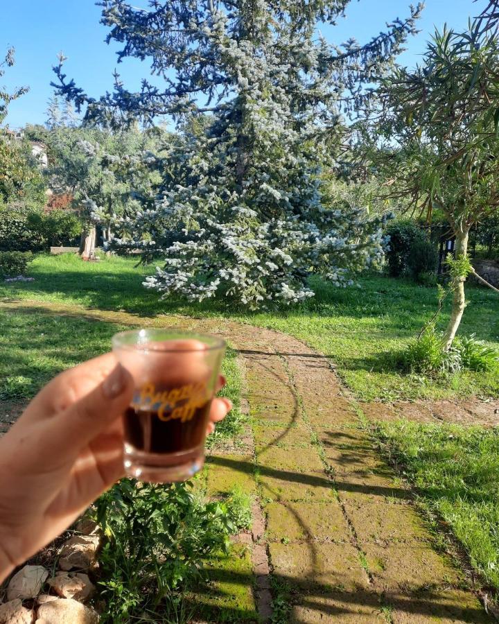 Casetta In Collina Sezze Ngoại thất bức ảnh