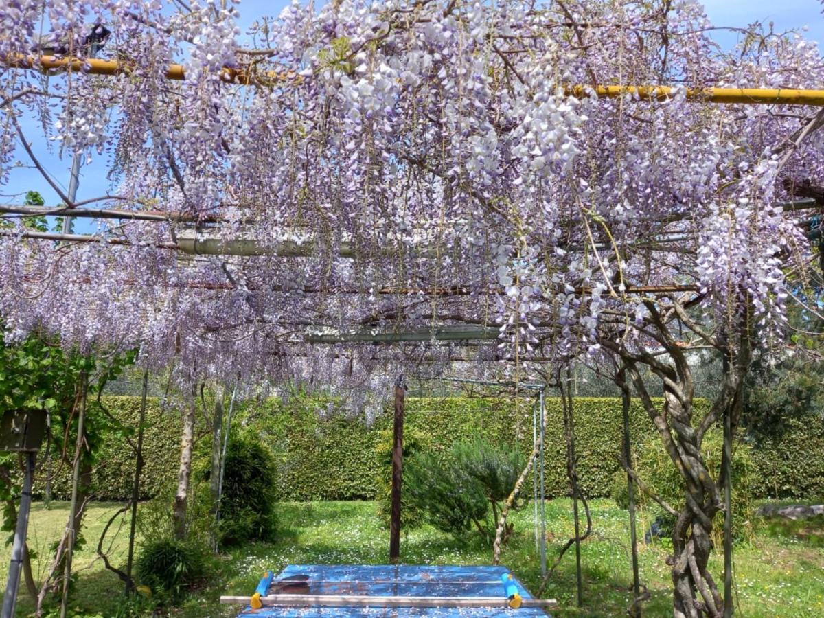 Casetta In Collina Sezze Ngoại thất bức ảnh
